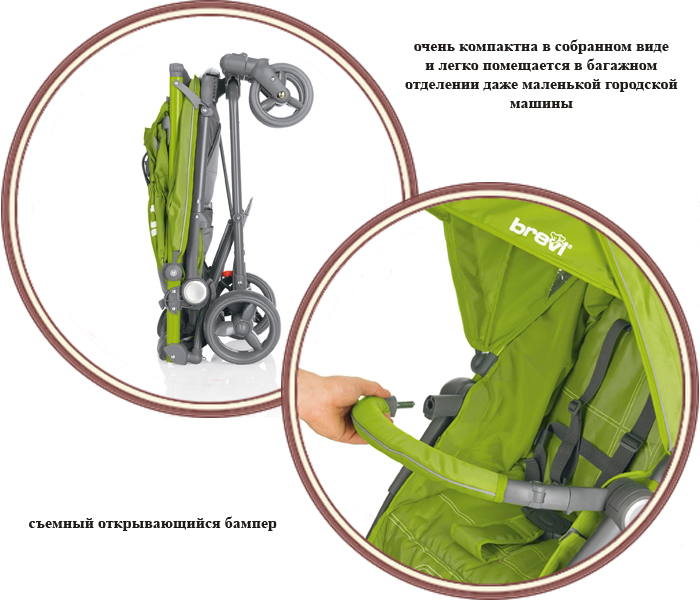 ���� ������� ����������� Brevi Ginger 3 (����� ��������)
